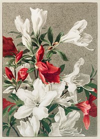 Christmas card depicting apple blossom from The Miriam and Ira D. Wallach Division Of Art, Prints and Photographs: Picture Collection by <a href="https://www.rawpixel.com/search/Ellen%20T.%20Fisher?sort=curated&amp;page=1">Ellen T. Fisher</a> (1847 &ndash;1911). Original From The New York Public Library. Digitally enhanced by rawpixel.