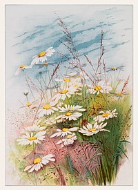 Birthday card depicting flowers and plants (1885) from The Miriam and Ira D. Wallach Division of Art, Prints and Photographs: Picture Collection published by <a href="https://www.rawpixel.com/search/L.%20prong%20%26%20Co?sort=curated&amp;page=1">L. Prang &amp; Co</a>. Original from the New York Public Library. Digitally enhanced by rawpixel.