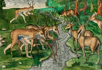 Deer hunting and Crocodile hunting illustration from Grand voyages (1596) by <a href="https://www.rawpixel.com/search/Theodor%20de%20Bry?sort=curated&amp;rating_filter=all&amp;mode=shop&amp;page=1">Theodor de Bry</a> (1528-1598). Original from The New York Public Library. Digitally enhanced by rawpixel.