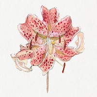 Vintage red flower drawing psd, remixed from artworks by Samuel Colman