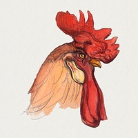Classic rooster psd hand drawn style, remixed from artworks by Samuel Colman