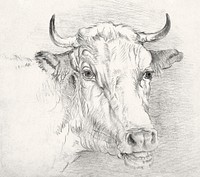 Head of a Cow (1860&ndash;1870) by <a href="https://www.rawpixel.com/search/Samuel%20Colman?sort=curated&amp;page=1">Samuel Colman</a>. Original from The Smithsonian Institution. Digitally enhanced by rawpixel.