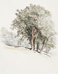 Study of Oak Trees at Lake Dunmore, Vermont (August 23, 1917) by <a href="https://www.rawpixel.com/search/Samuel%20Colman?sort=curated&amp;page=1">Samuel Colman</a>. Original from The Smithsonian Institution. Digitally enhanced by rawpixel.