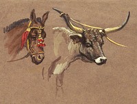 Head of a Mule with a Bridle, Head of a Buffalo or Ox (1872&ndash;1873) by <a href="https://www.rawpixel.com/search/Samuel%20Colman?sort=curated&amp;page=1">Samuel Colman</a>. Original from The Smithsonian Institution. Digitally enhanced by rawpixel.