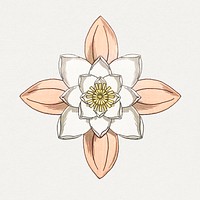 Vintage water lily flower design element