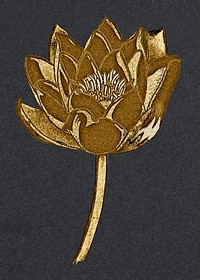 Vintage gold water lily flower design element