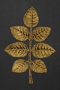 Gold wild rose leaf design element