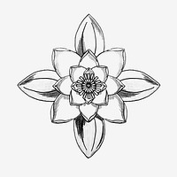 Black and white line drawing water lily flower design element