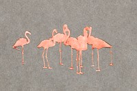 Flamingoes, study folder for book Concealing Coloration in the Animal Kingdom painting in high resolution by Abbott Handerson Thayer (1849&ndash;1921). Original from the Smithsonian Institution. Digitally enhanced by rawpixel.