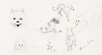 Dogs and cats sketches (1892) by <a href="https://www.rawpixel.com/search/Julie%20de%20Graag?sort=curated&amp;page=1">Julie de Graag</a> (1877-1924). Original from The Rijksmuseum. Digitally enhanced by rawpixel.