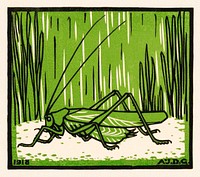 Grasshopper (1918) by <a href="https://www.rawpixel.com/search/Julie%20de%20Graag?sort=curated&amp;page=1">Julie de </a><a href="https://www.rawpixel.com/search/Julie%20de%20Graag?sort=curated&amp;page=1">Graag</a> (1877-1924). Original from The Rijksmuseum. Digitally enhanced by rawpixel.