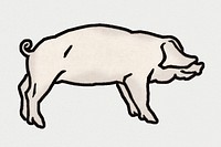Vintage Illustration of Pig.