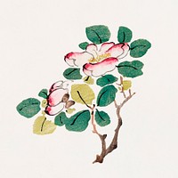 Flower psd botanical art print, remixed from artworks by Hu Zhengyan