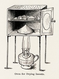 Oven for Drying Insects.  Digitally enhanced from our own publication of Moths and butterflies of the United States (1900) by Sherman F. Denton (1856-1937).