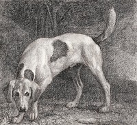 A Foxhound on the Scent (1788) by George Stubbs. Original from The Yale University Art Gallery. Digitally enhanced by rawpixel.