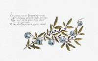 Christmas Card Depicting Bells and Blueberries (1865&ndash;1899) by <a href="https://www.rawpixel.com/search/l.%20prang?sort=curated&amp;type=all&amp;page=1">L. Prang &amp; Co</a>. Original from The New York Public Library. Digitally enhanced by rawpixel.