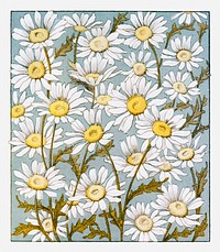 Card Depicting Flowers in Blue Background (1865&ndash;1899) by <a href="https://www.rawpixel.com/search/l.%20prang?sort=curated&amp;type=all&amp;page=1">L. Prang &amp; Co</a>. Original from The New York Public Library. Digitally enhanced by rawpixel.