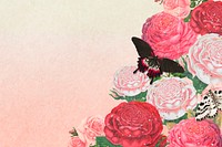 Pink rose border, feminine floral background vector