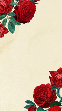 Red rose mobile wallpaper, floral background