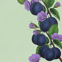 Plum border frame, botanical background for social media post psd