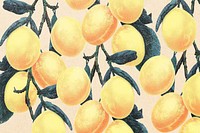 Yellow plum, pink background, vintage illustration psd