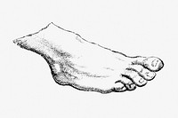 Human foot monochrome vintage illustration