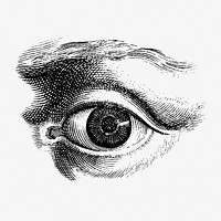 Human eye monochrome vintage illustration