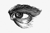 Human eye monochrome vintage illustration