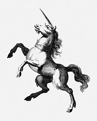 Vintage unicorn engraving illustration psd