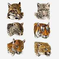 Vintage animal clipart, hand drawn illustration psd set  