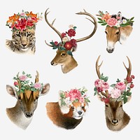 Animal drawing collage element, floral vintage illustration vector set  