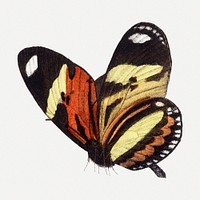 Butterfly illustration, aesthetic painting psd