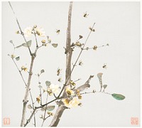 Insects and Flowers (Qing dynasty ca. 1644&ndash;1911) by <a href="https://www.rawpixel.com/search/Ju%20Lian?sort=curated&amp;type=all&amp;page=1">Ju Lian</a>. Original from The Getty. Digitally enhanced by rawpixel. 