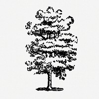 Oak tree clipart, vintage hand drawn design element psd, digitally enhanced from our own original copy of The Open Door to Independence (1915) by Thomas E. Hill.