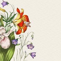 Wild Orange Red Lily, Harebell, and Showy Ladys Slipper flower bouquet illustration