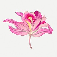 Pink laelia orchid flower collage element, vintage Japanese art psd