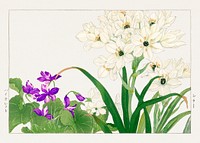 Violet & Scilla flower woodblock painting.  Digitally enhanced from our own 1917 edition of Seiyô SÔKA ZUFU by Tanigami Kônan.