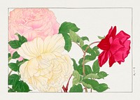 Vintage rose, ukiyo e artwork.  Digitally enhanced from our own 1917 edition of Seiyô SÔKA ZUFU by Tanigami Kônan.