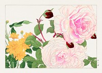 Vintage rose, ukiyo e artwork.  Digitally enhanced from our own 1917 edition of Seiyô SÔKA ZUFU by Tanigami Kônan.