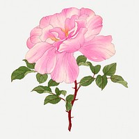 Pink rose collage element, vintage Japanese art psd