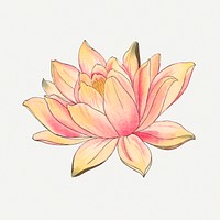 Lotus illustration, vintage Japanese art painting