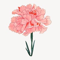 Carnation flower collage element, vintage Japanese art vector