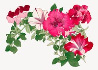 Mallow flower collage element, vintage Japanese art vector