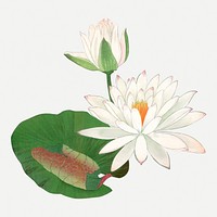 Lotus vintage clipart, vintage Japanese art psd