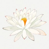 Lotus illustration, vintage Japanese art painting