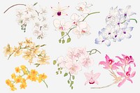Orchid flower collage element, floral Japanese woodblock art vector set