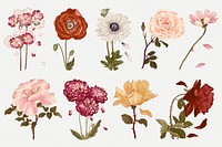 Rose illustrations, vintage Japanese art painting psd set