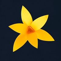 Daffodil vector