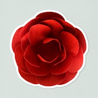 Red camellia papercraft flower sticker mockup