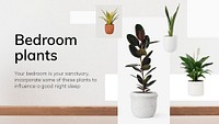 Interior decor template psd bedroom plants